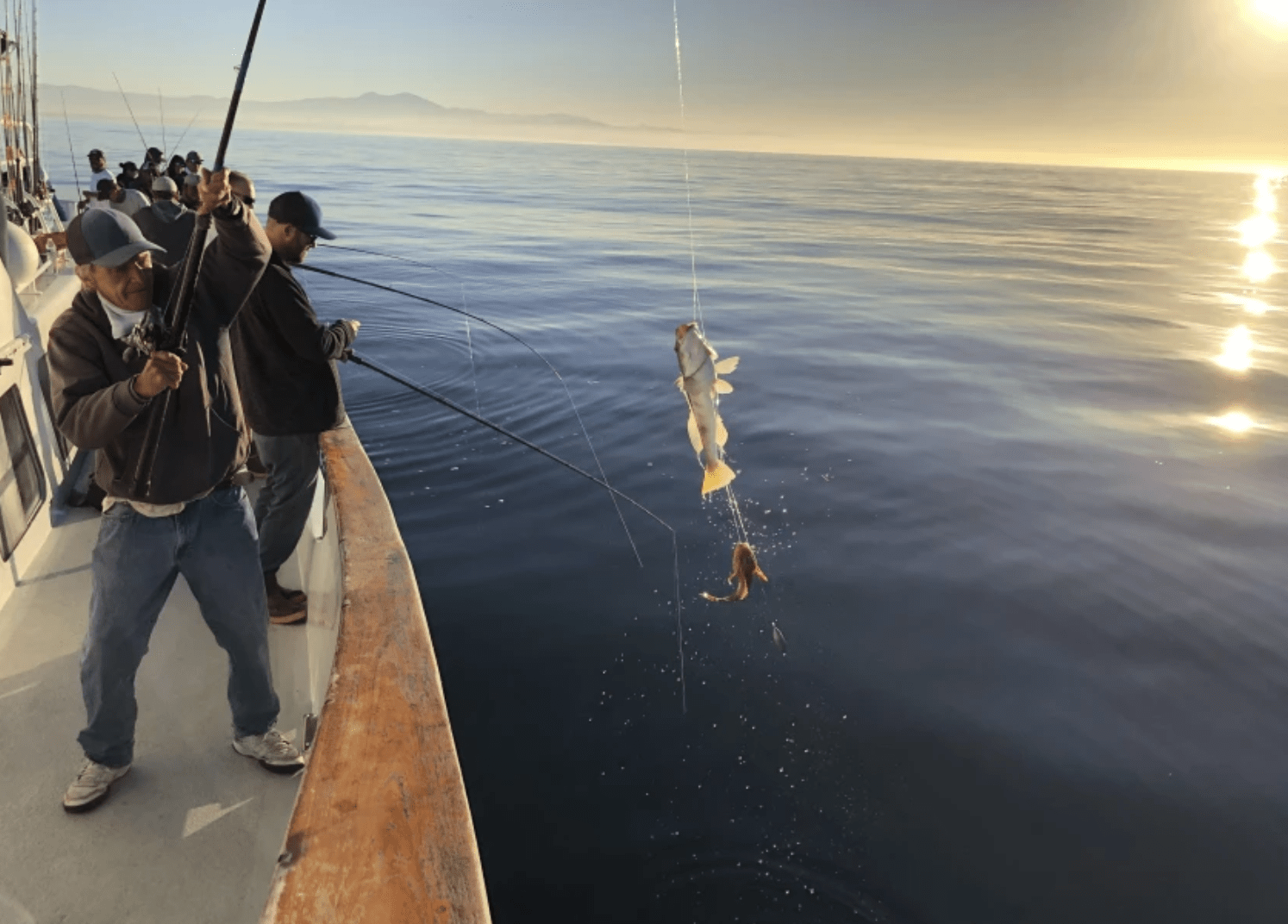 On Oct. 28, state officials reel in fish for testing after the oil spill that occurred earlier that month.(California Department of Fish and Wildlife )