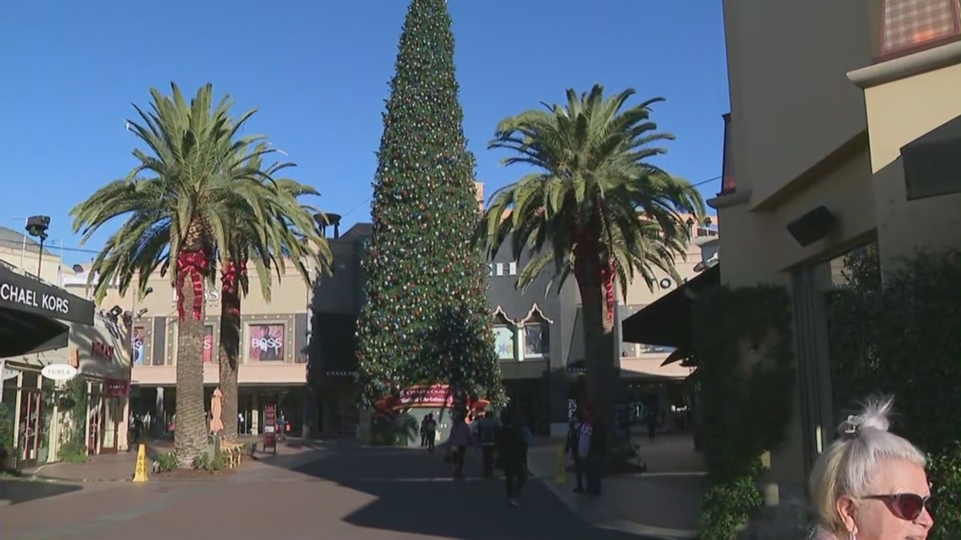 The tallest fresh-cut Christmas tree in the U.S. is at the Citadel Outlets in the City of Commerce, as shown on Dec. 18, 2021. (KTLA)