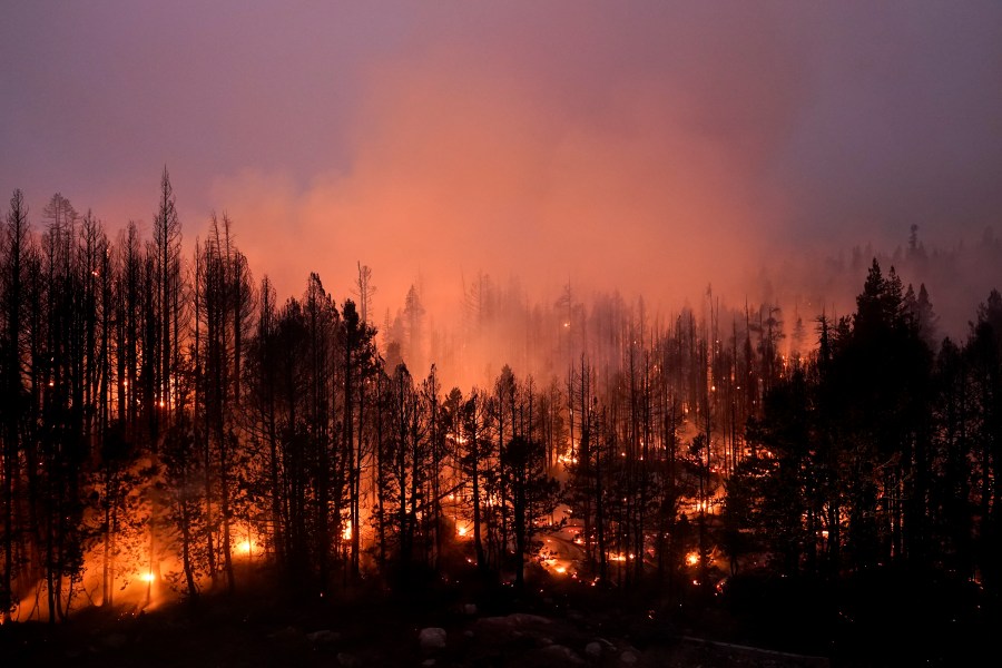 Trees scorched by the Caldor Fire smolder in the Eldorado National Forest, Calif., Friday, Sept. 3, 2021. The Biden administration wants to thin more forests and use prescribed burns to reduce catastrophic wildfires as climate changes makes blazes more intense. (AP Photo/Jae C. Hong, File)