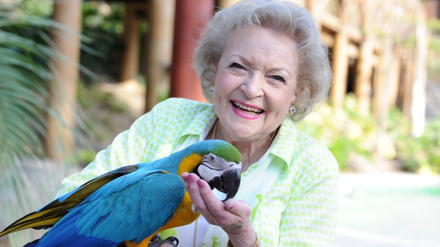 Betty White attends the Greater Los Angeles Zoo Association's (GLAZA) 44th Annual Beastly Ball at Los Angeles Zoo on June 14, 2014. (Angela Weiss/Getty Images)