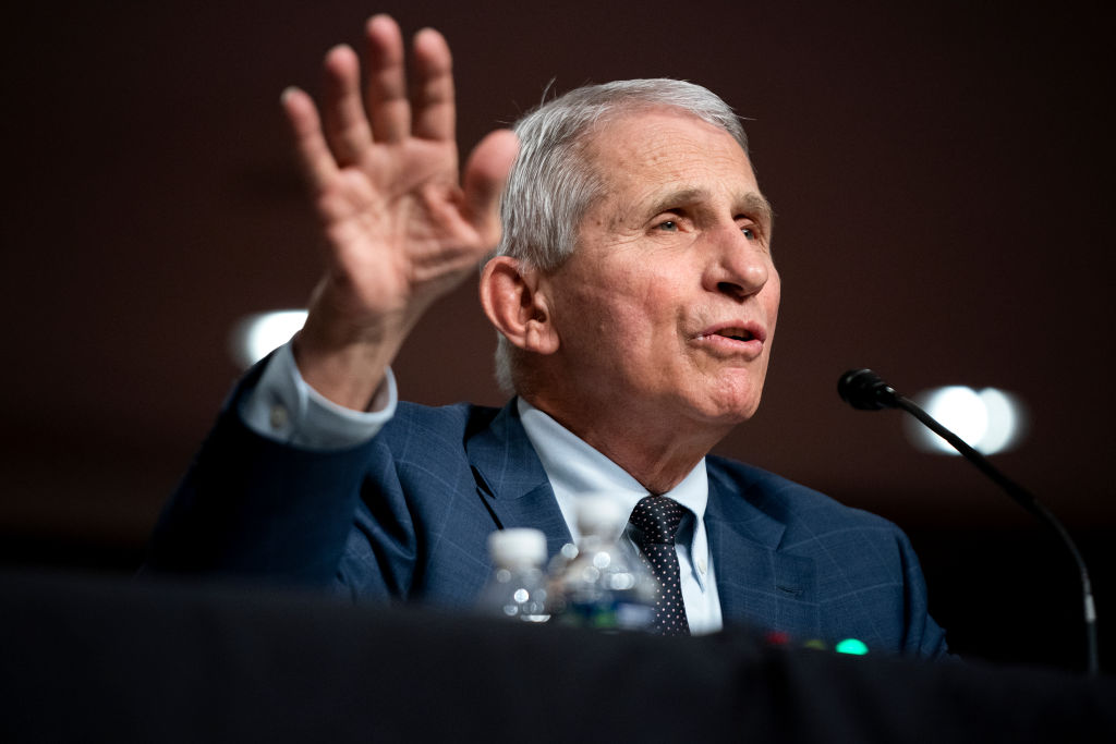 Dr. Anthony Fauci, White House Chief Medical Advisor and Director of the NIAID, testifies at a Senate Health, Education, Labor, and Pensions Committee hearing on Capitol Hill on Jan. 11, 2022 in Washington, D.C. (Photo by Greg Nash-Pool/Getty Images)