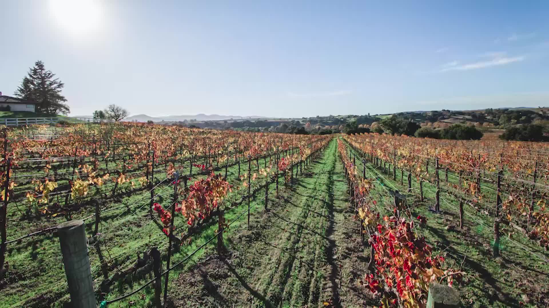 Former Los Angeles resident Iris Rideau was the first African-American woman in the U.S. to own a winery. (KTLA)