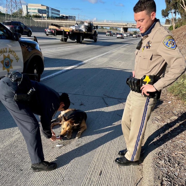 (CHP West Los Angeles) 