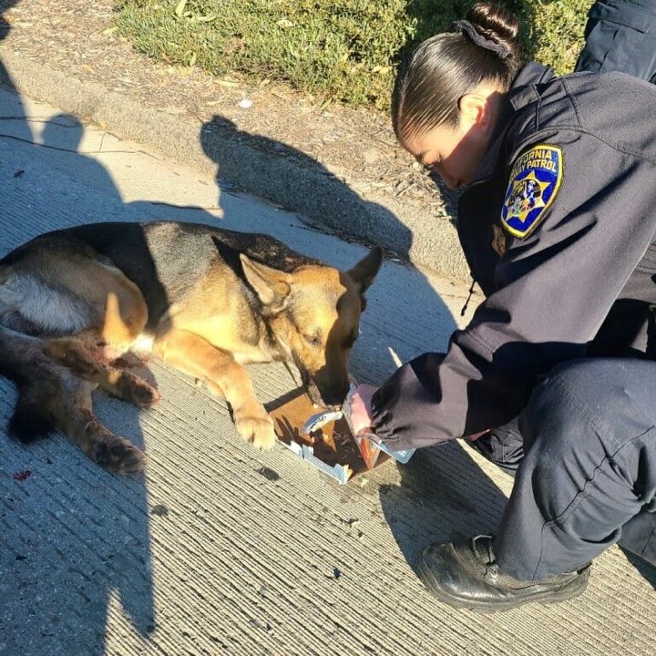 (CHP West Los Angeles) 