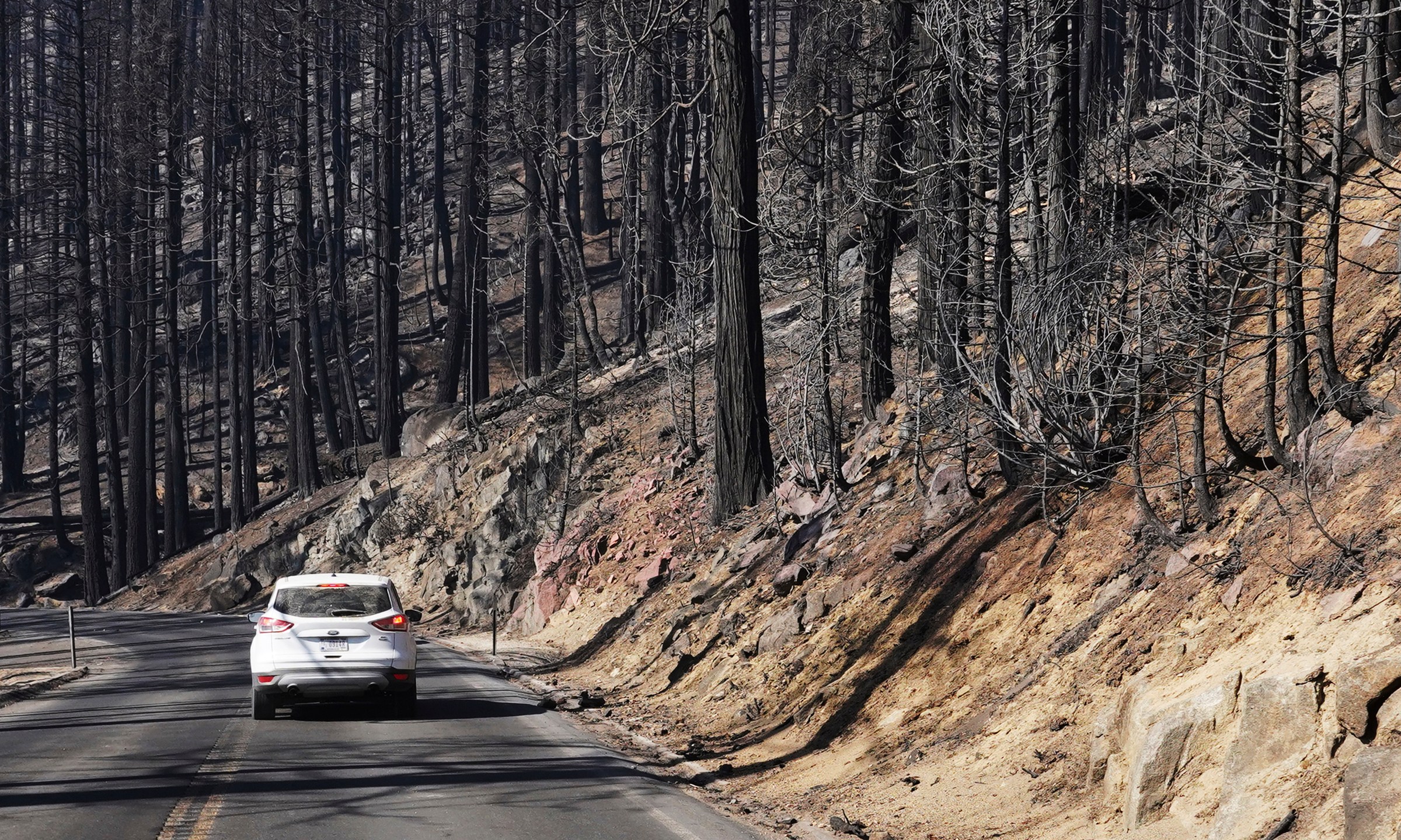 Trees are seen burned from the KNP Complex Fire along Generals Highway during a media tour on Oct. 15, 2021, in Kings Canyon National Park, Calif. (Eric Paul Zamora/The Fresno Bee via AP, File)