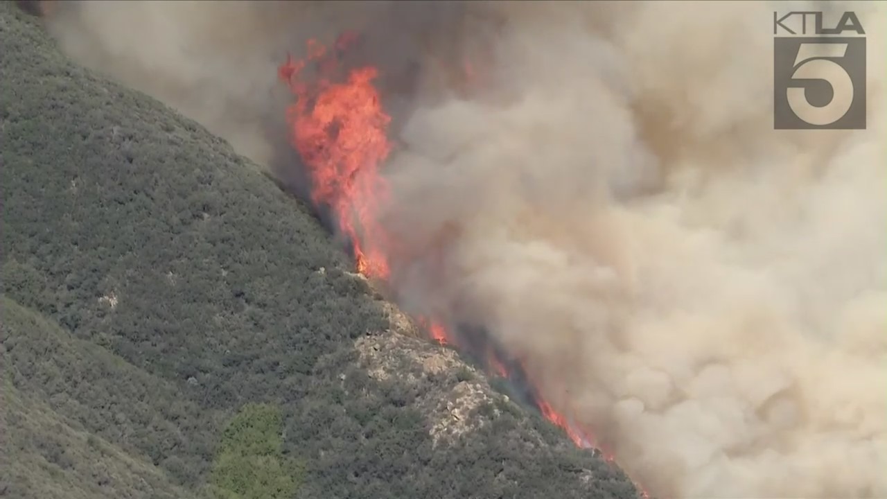 The Jim Fire burned in the Cleveland National Forest on March 2, 2022. (KTLA)