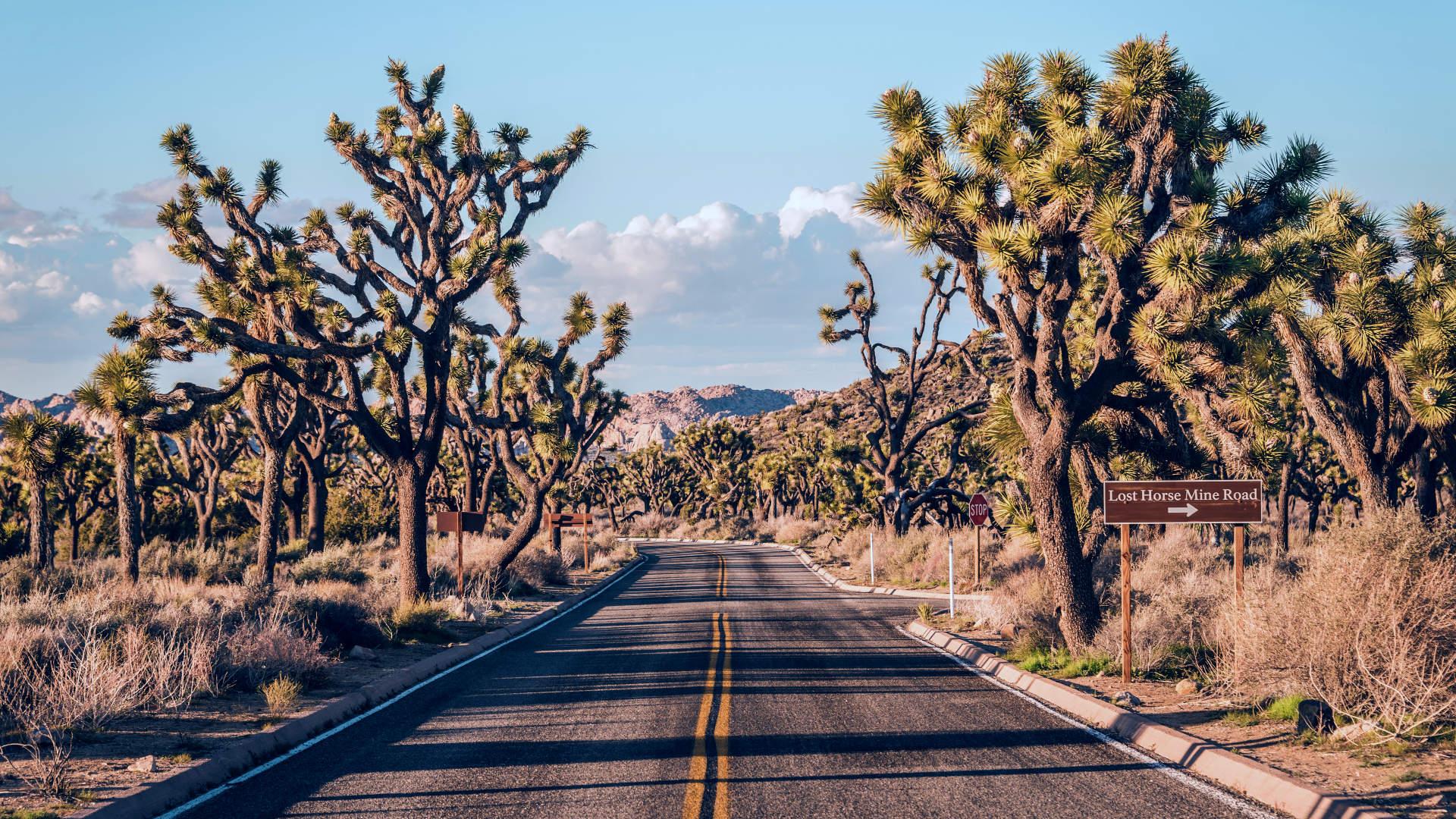 On the road through Joshua Tree National Park, a sign indicates the turn for Lost Horse Mine Road.