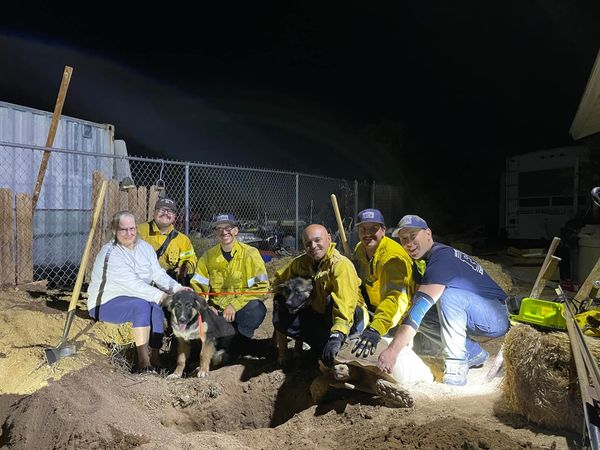 Fire crews requested two puppies stuck in a tortoise den in Yucca Valley on June 19, 2022. (San Bernardino County Fire Department)