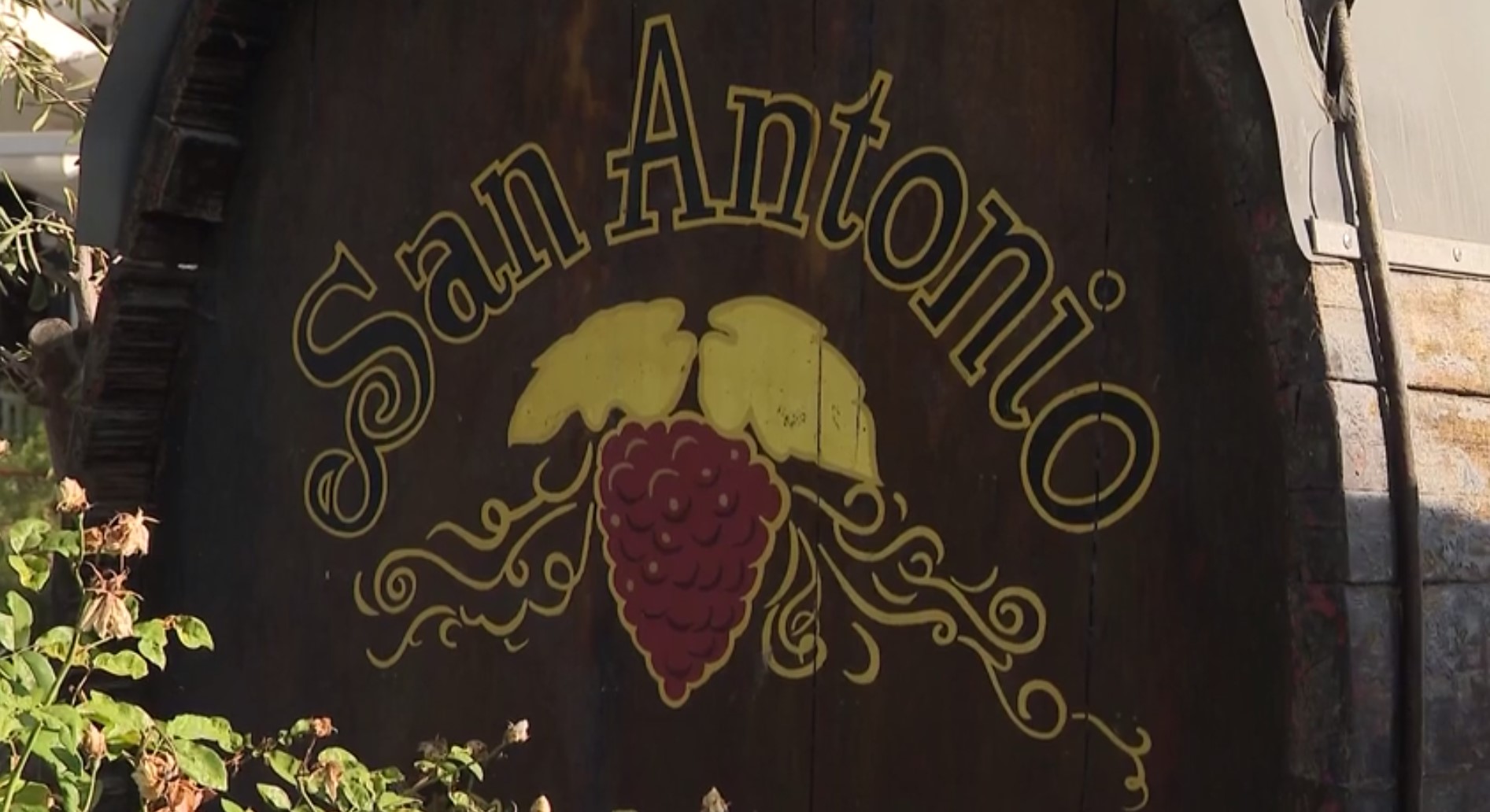 San Antonio Winery has operated in Los Angeles since 1917. (KTLA)