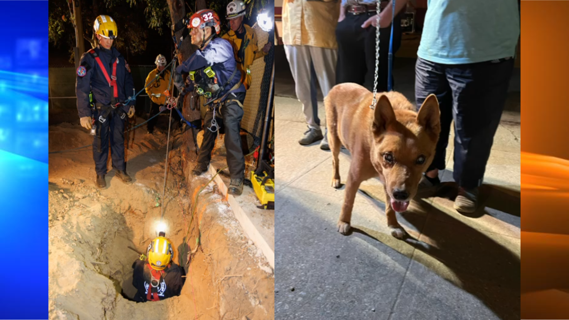 Blind dog rescued after falling into 15-foot deep construction hole in Pasadena on Sept. 20, 2022. (Pasadena Fire Department)