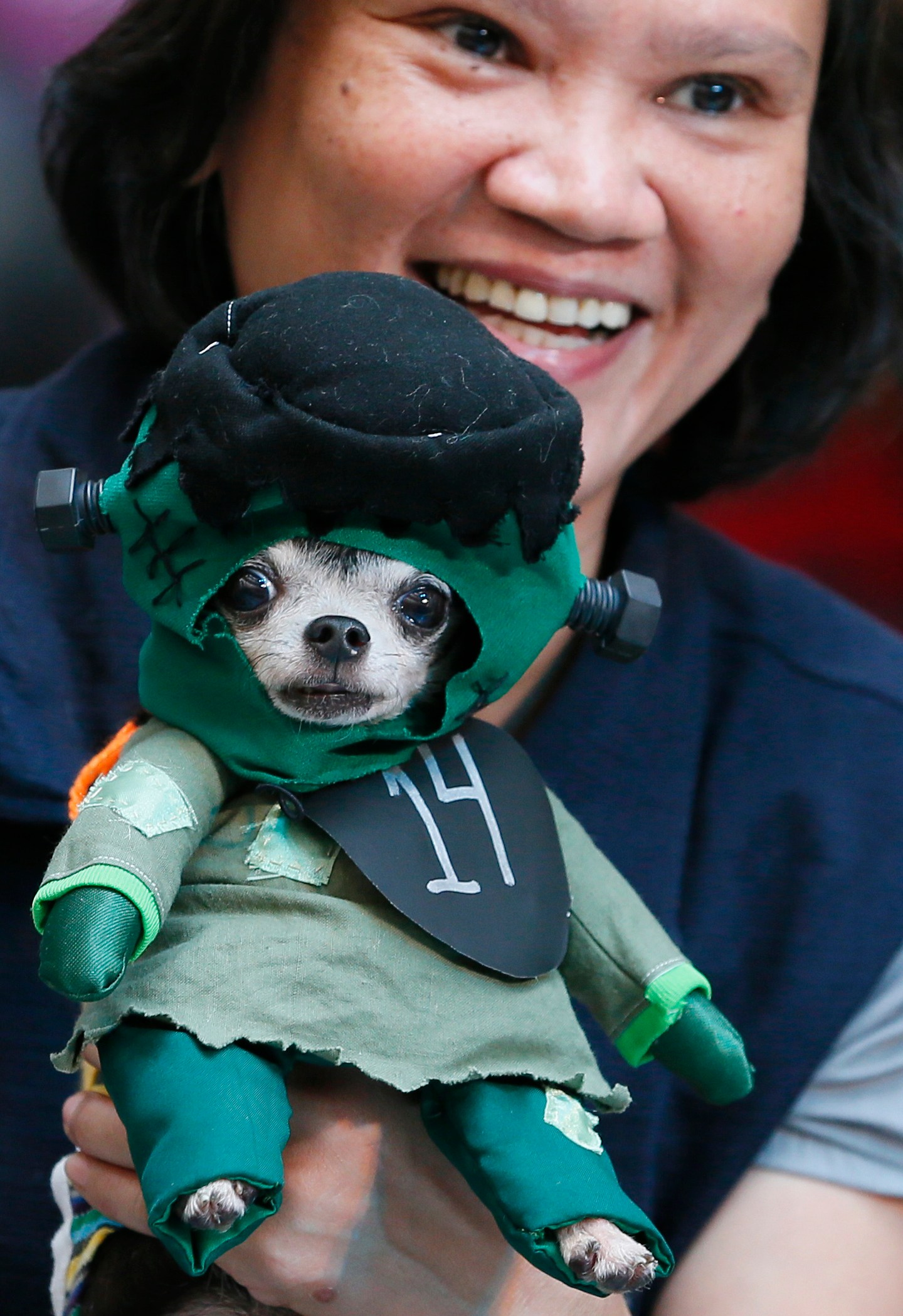 Pet Halloween costume. (Bullit Marquez/Associated Press)