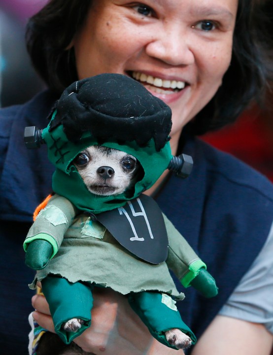 Pet Halloween costume. (Bullit Marquez/Associated Press)