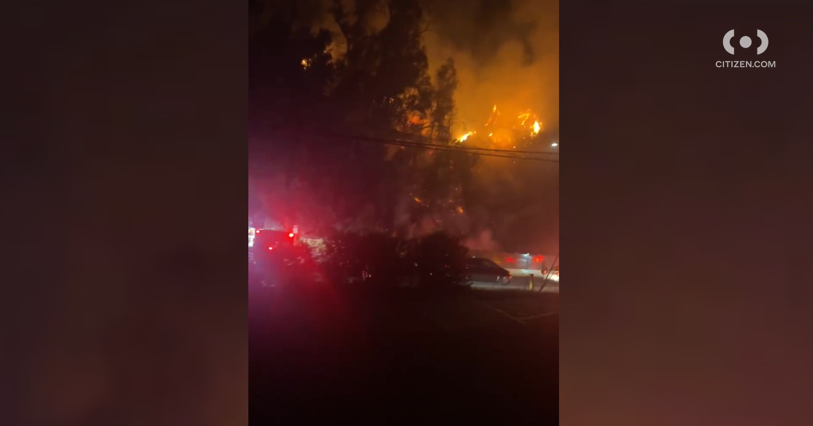 Footage shared to the Citizen app shows flames and smoke rising from a fire in Pacific Palisades on Oct. 16, 2022.