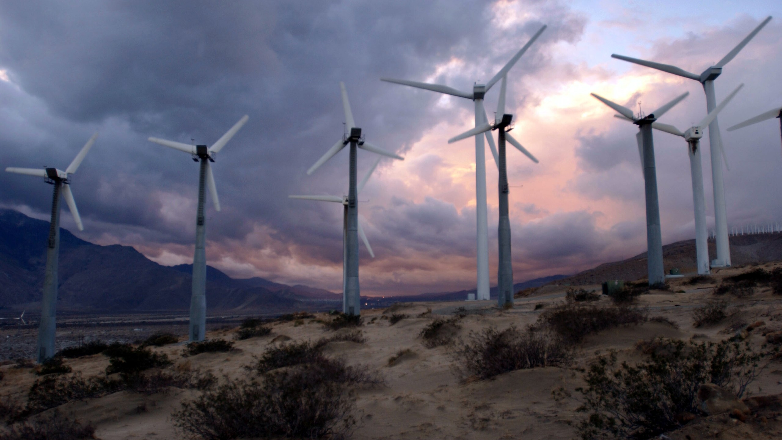 Giant windmills are seen on Dec. 17, 2002 near Palm Springs. (David McNew/Getty Images)