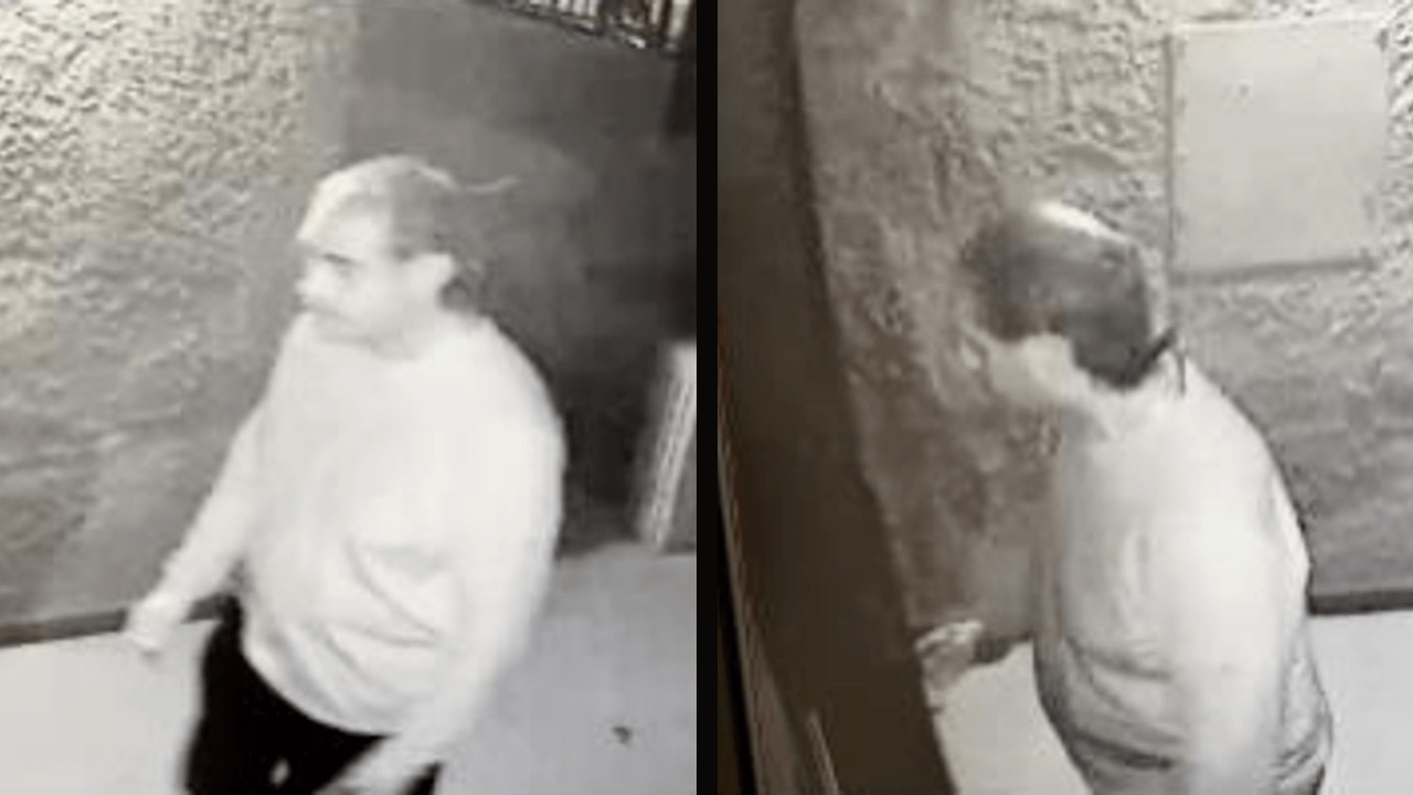 echo park assault suspect