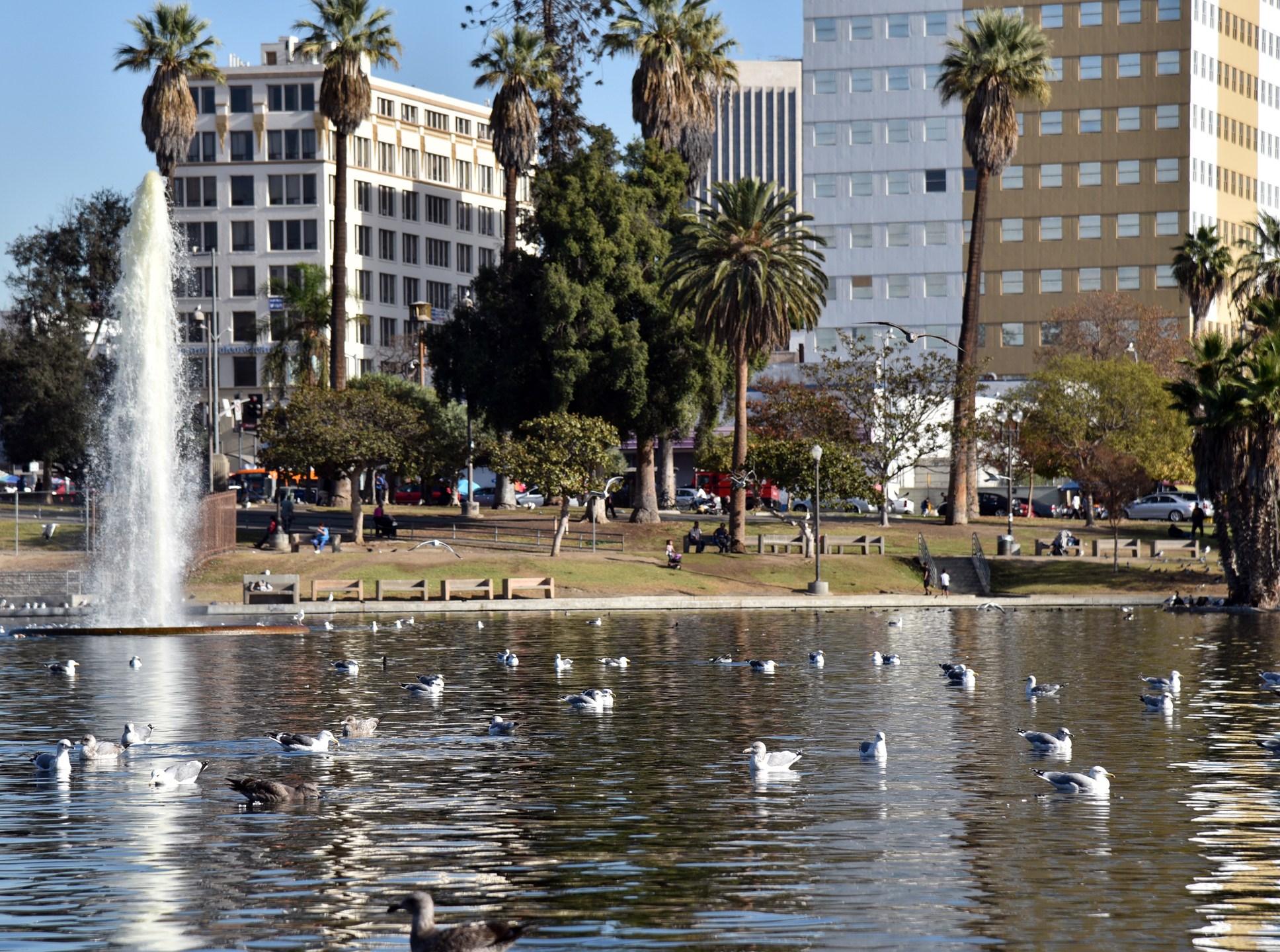 The fountain in the lake at MacArthur Park in Los Angeles (Getty)