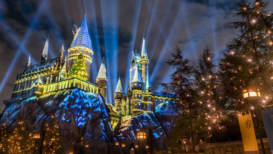 Christmas in Wizarding World 