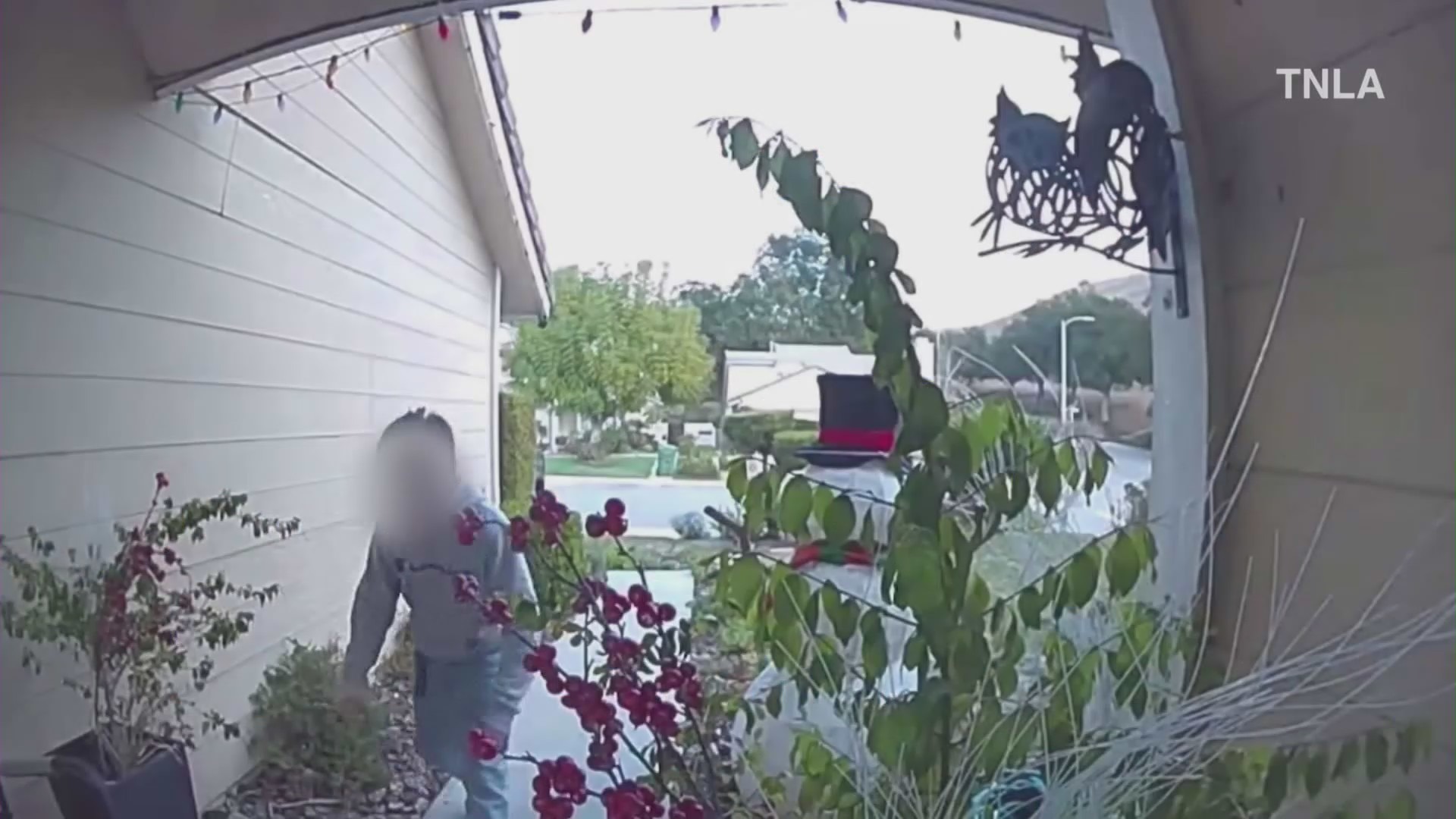 Video captures a young boy swindling packages from Ventura County homes in broad daylight. (TNLA)