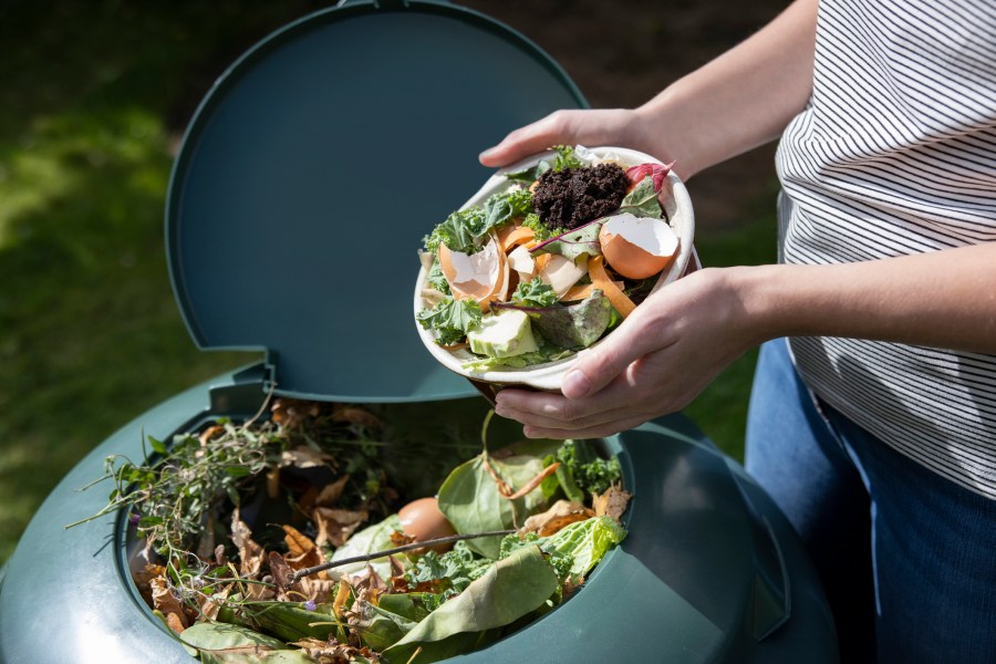 Close Up Of Woman Emptying Food Waste Into Garden Composter At Home