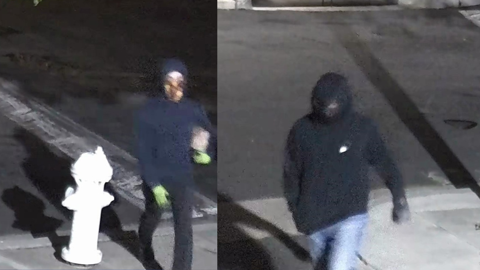 Suspects wanted by the FBI for allegedly throwing a Molotov cocktail at an Orange County Planned Parenthood on March 13, 2022. (FBI)