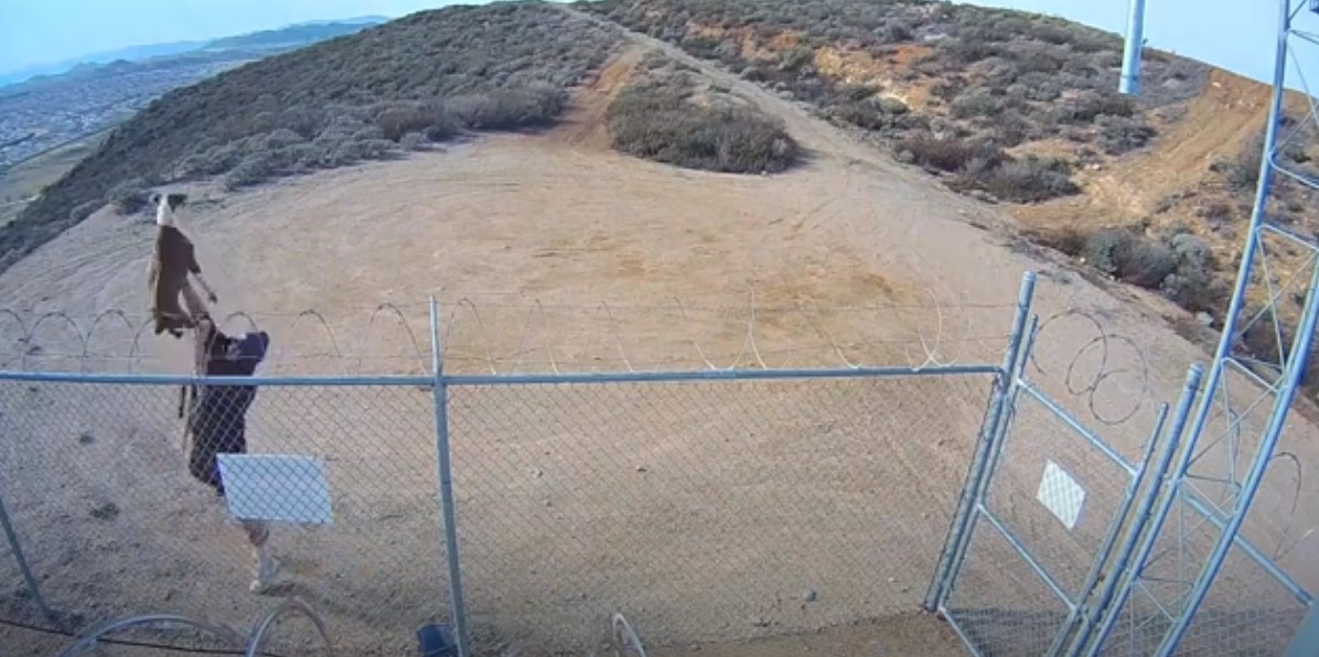 A still from video provided by the Riverside County Animal Services Department shows a man tossing a dog over a cellphone tower on Dec. 15, 2022.