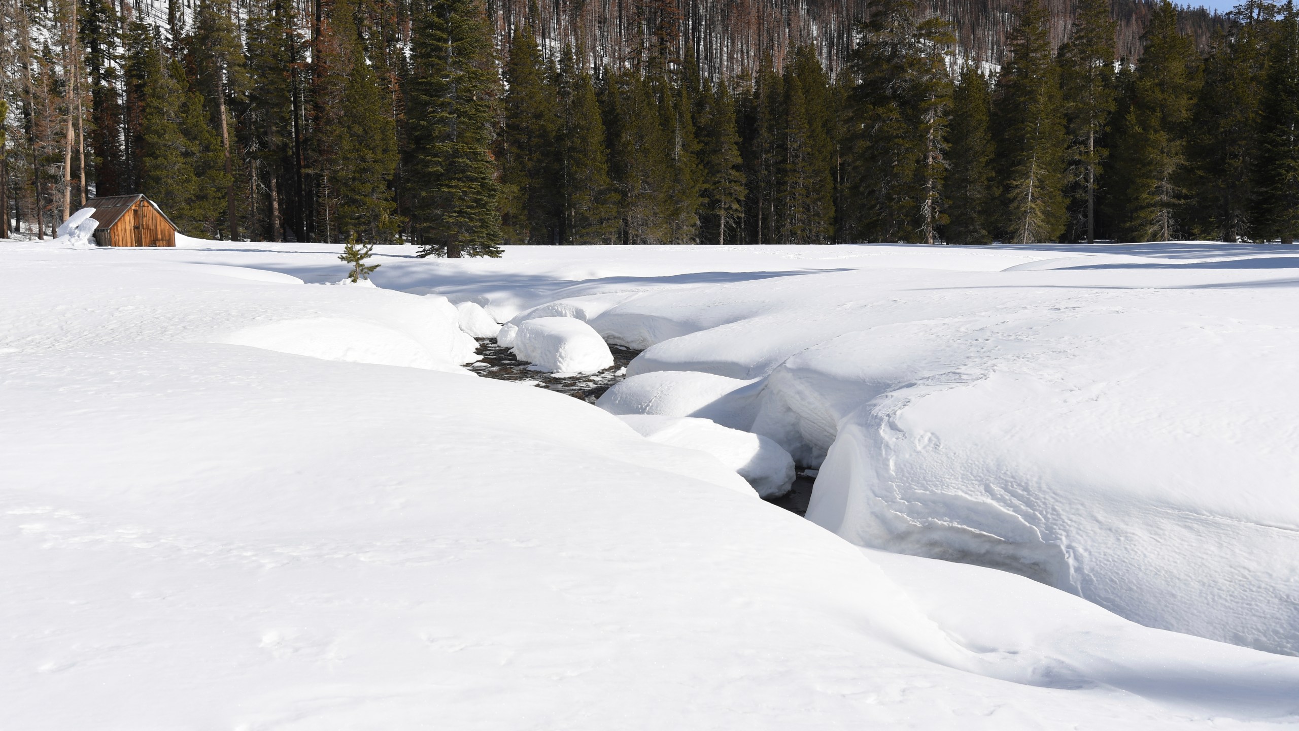 California Snowpack