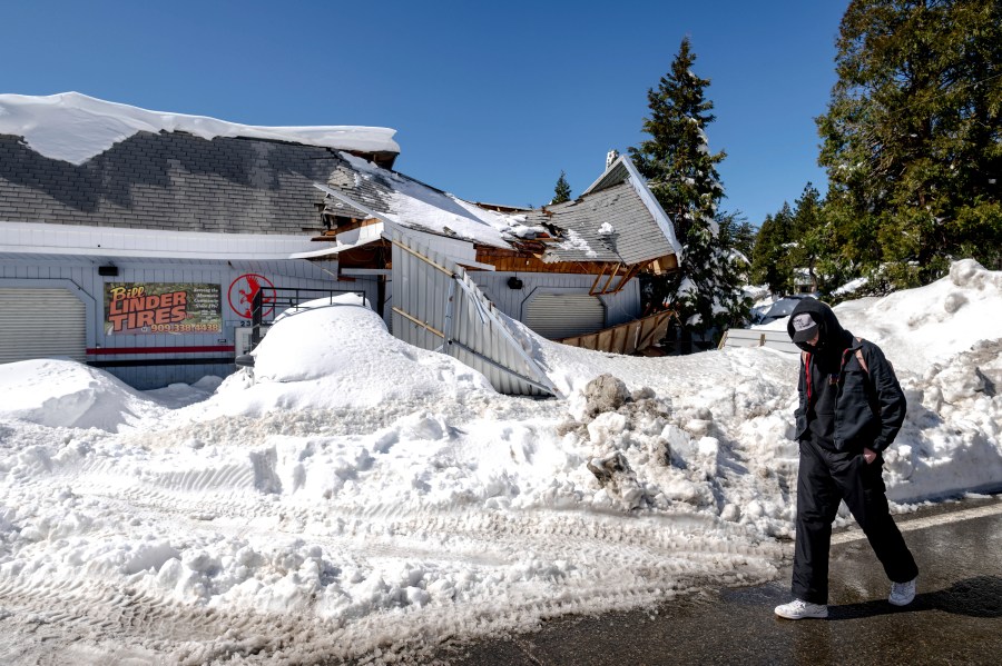 California Snow The Stranded