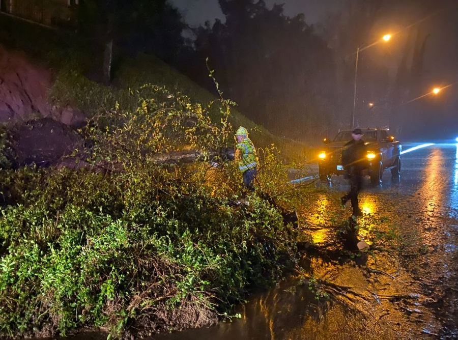 Tree down and small mudslide on Park Ora, near Creekside in Calabasas on Feb. 24, 2023. (City of Calabasas)