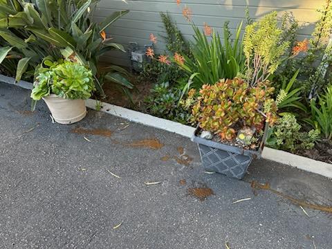 Police are investigating after the home of a Laguna Beach city official was vandalized with feces. (City of Laguna Beach)