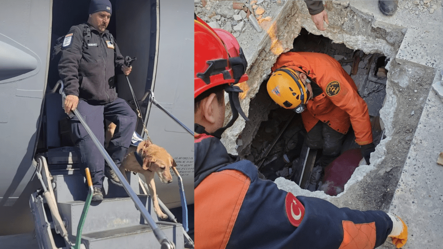 Rescue crews and K-9s land in Turkey to assist with rescue efforts following a devastating 7.8 magnitude earthquake. (@lacountysearchdogs, @Resqman)