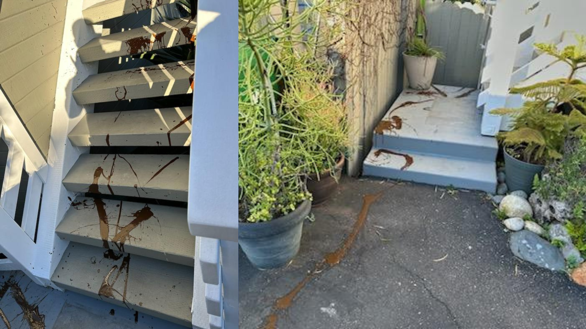 Police are investigating after the home of a Laguna Beach city official was vandalized with feces. (City of Laguna Beach)