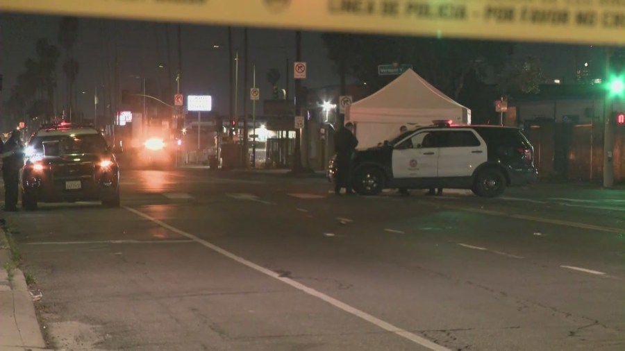 Pedestrian killed in hit-and-run