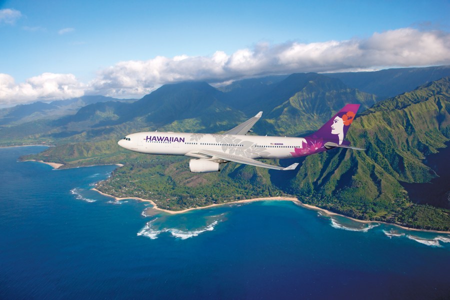 A Hawaiian Airlines Airbus A330 is seen in this file image provided by the airline.