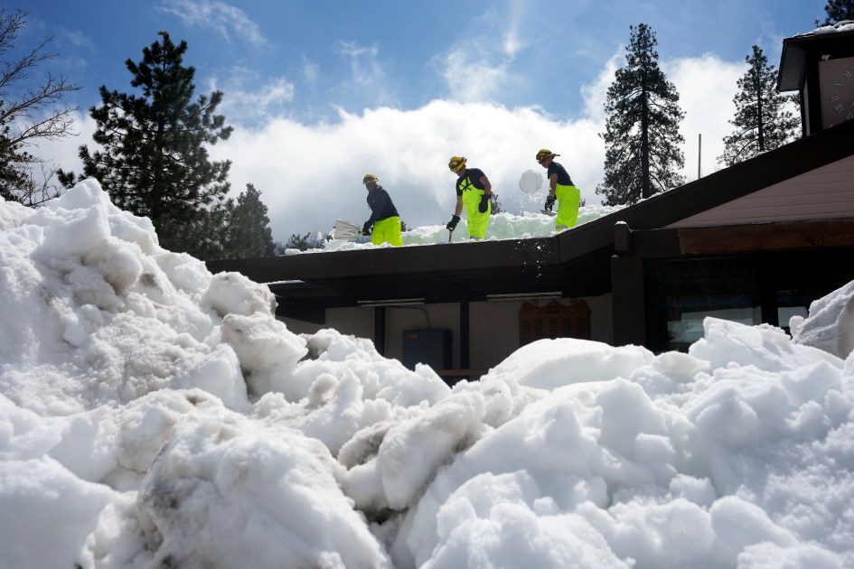 California Snow The Stranded