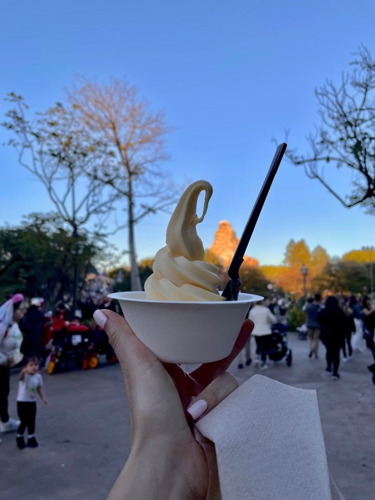 Disneyland Dole Whip