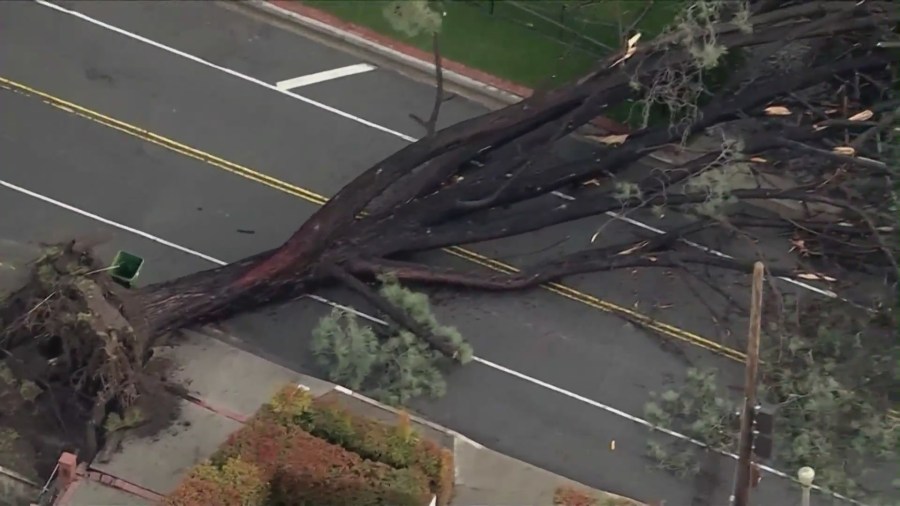 Stormy weather across Southern California continued causing destruction on Wednesday, downing trees and powerlines while causing sinkholes and mudslides. (KTLA)