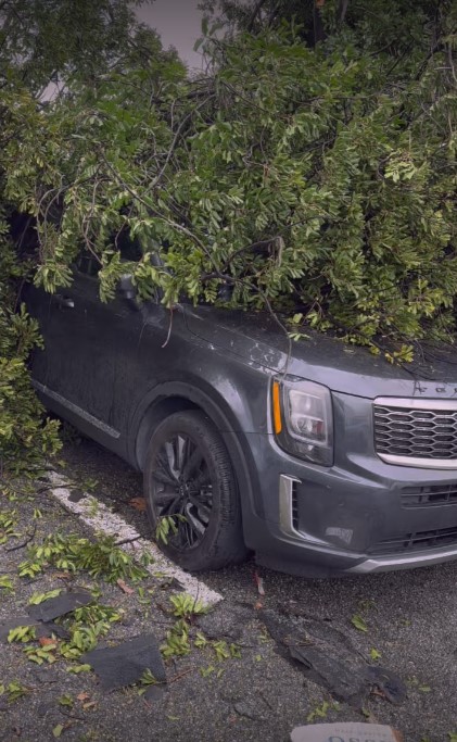 A tree toppled over a vehicle during a suspected tornado in Montebello on March 22, 2023. (Gurgot Singh)