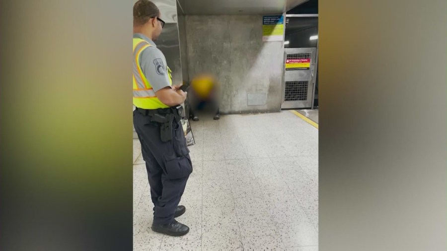 Crime seen on subway train platforms in Los Angeles. (Kenyson Dove)