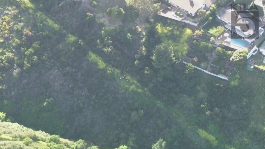 Crews working to rescue two horses trapped under heavy brush in Palos Verdes on April 28, 2023. (KTLA)