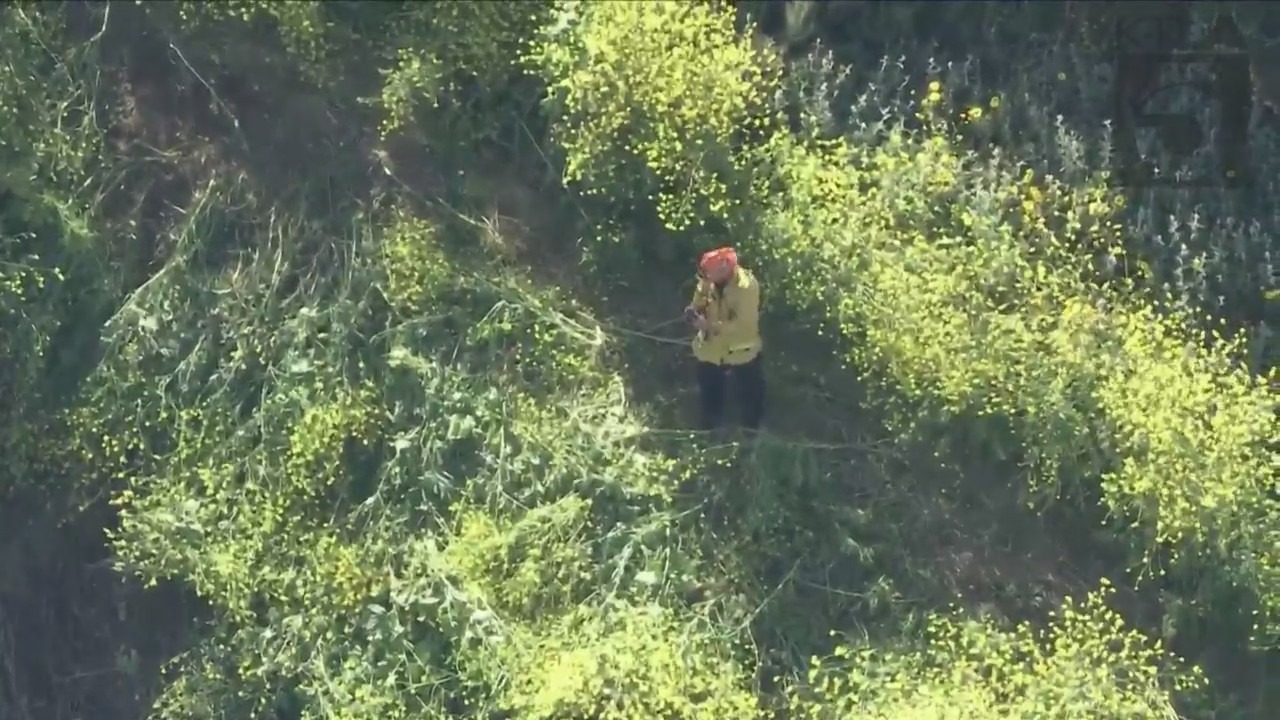 Crews working to rescue two horses trapped under heavy brush in Palos Verdes on April 28, 2023. (KTLA)