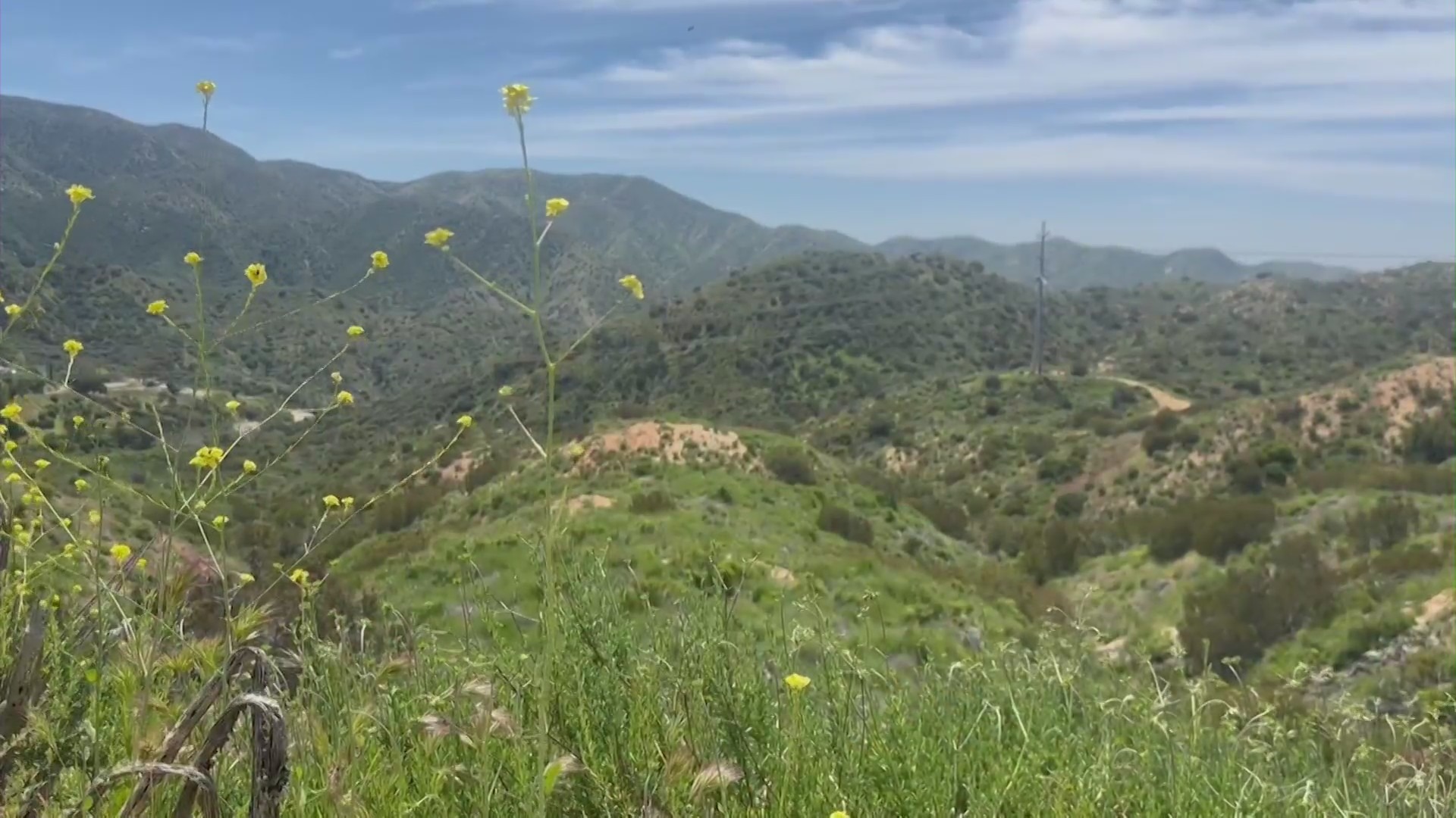 Residents concerned that a proposed luxury housing development in the Verdugo mountains will wipe out natural landscapes and displace wildlife. (KTLA)