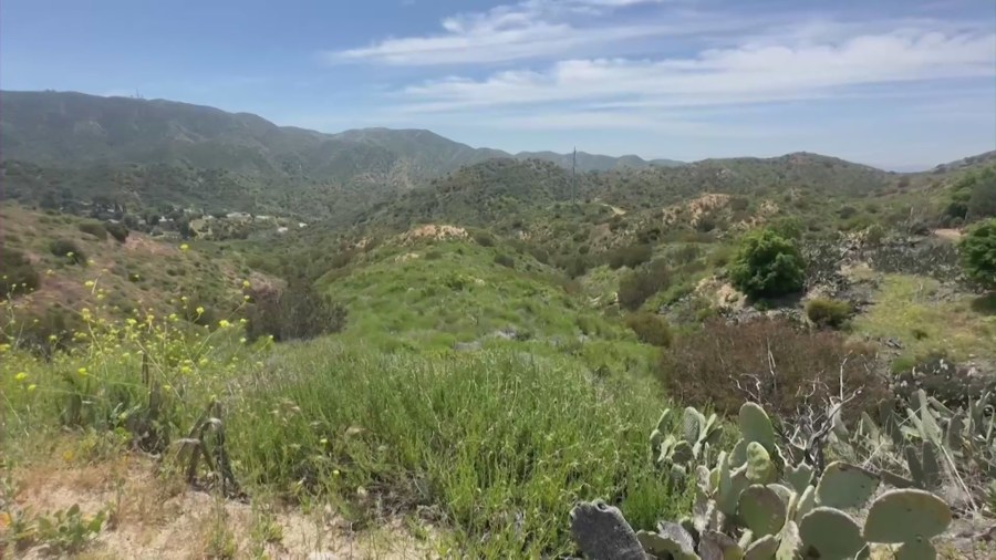 Residents concerned that a proposed luxury housing development in the Verdugo mountains will wipe out natural landscapes and displace wildlife. (KTLA)