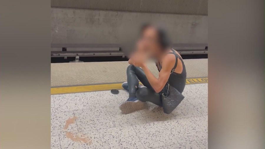 Crime seen on subway train platforms in Los Angeles. (Kenyson Dove)