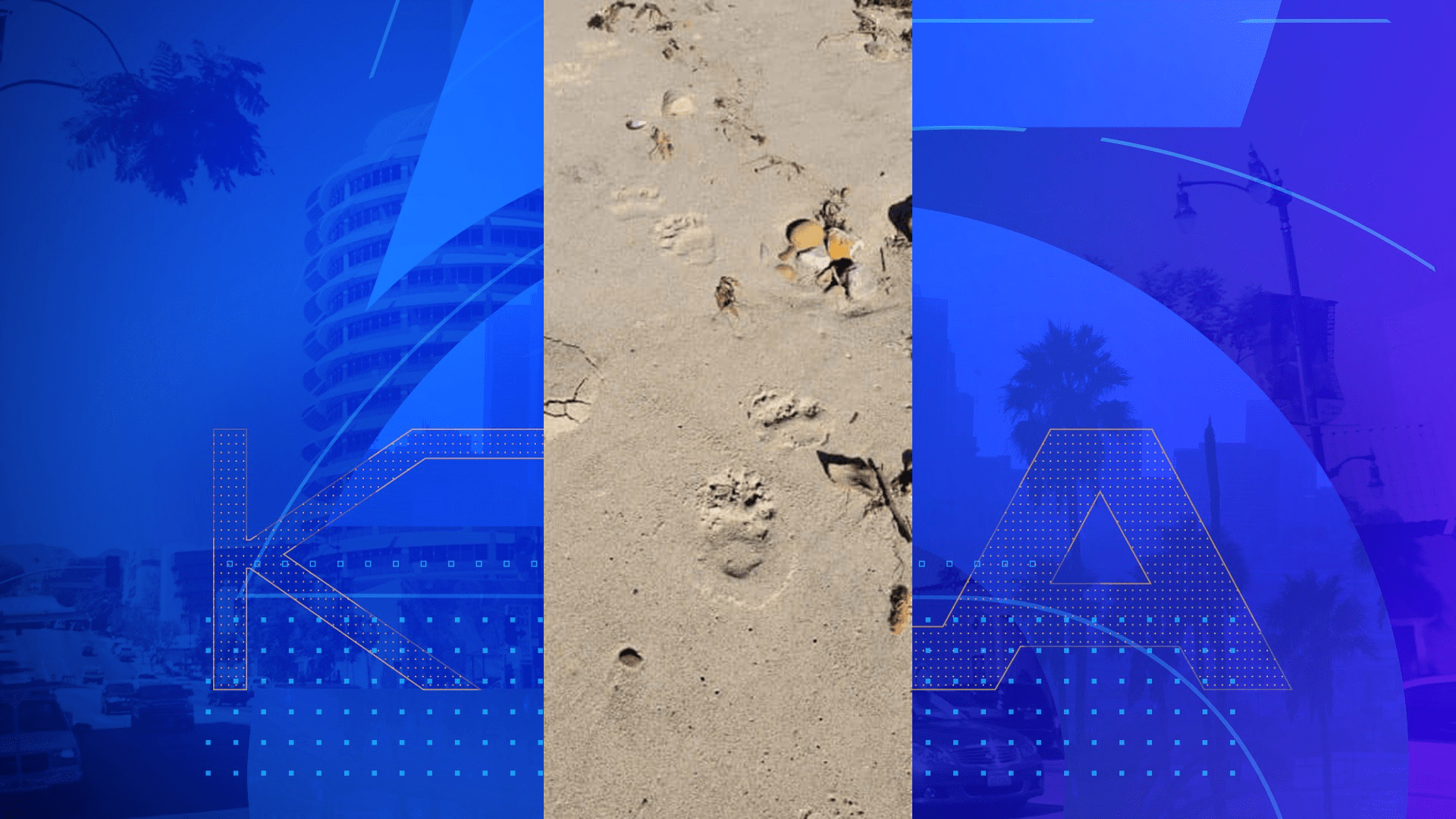 Prints left behind by a black bear near Leo Carrillo Beach are seen in a photo provided by the National Park Service on June 8, 2023.