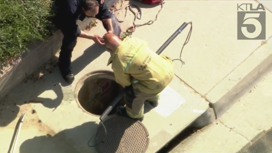 Dog trapped storm drain in L.A. County