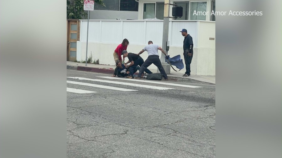 Bystanders holding suspect Michael Langman down after he kicked a tiny dog in Venice on June 14, 2023. (Amor Amor Accessories)