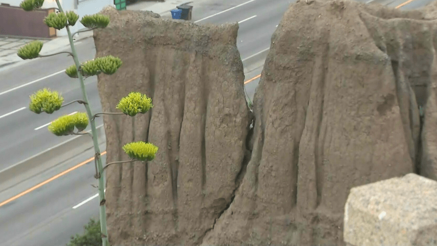 A portion of the Santa Monica bluffs appears to be in danger of collapsing.