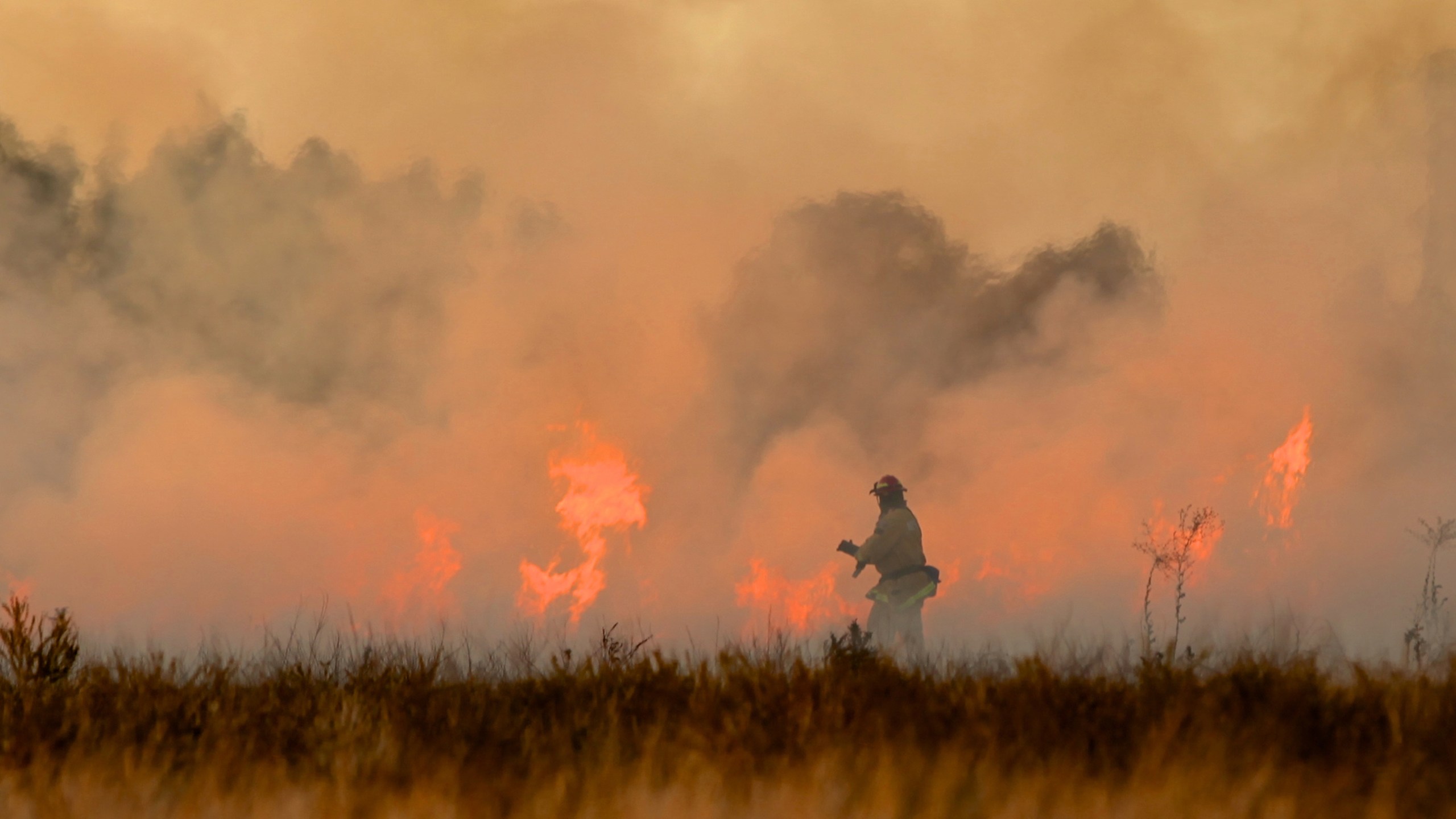 Firefighter fighting a brush fire