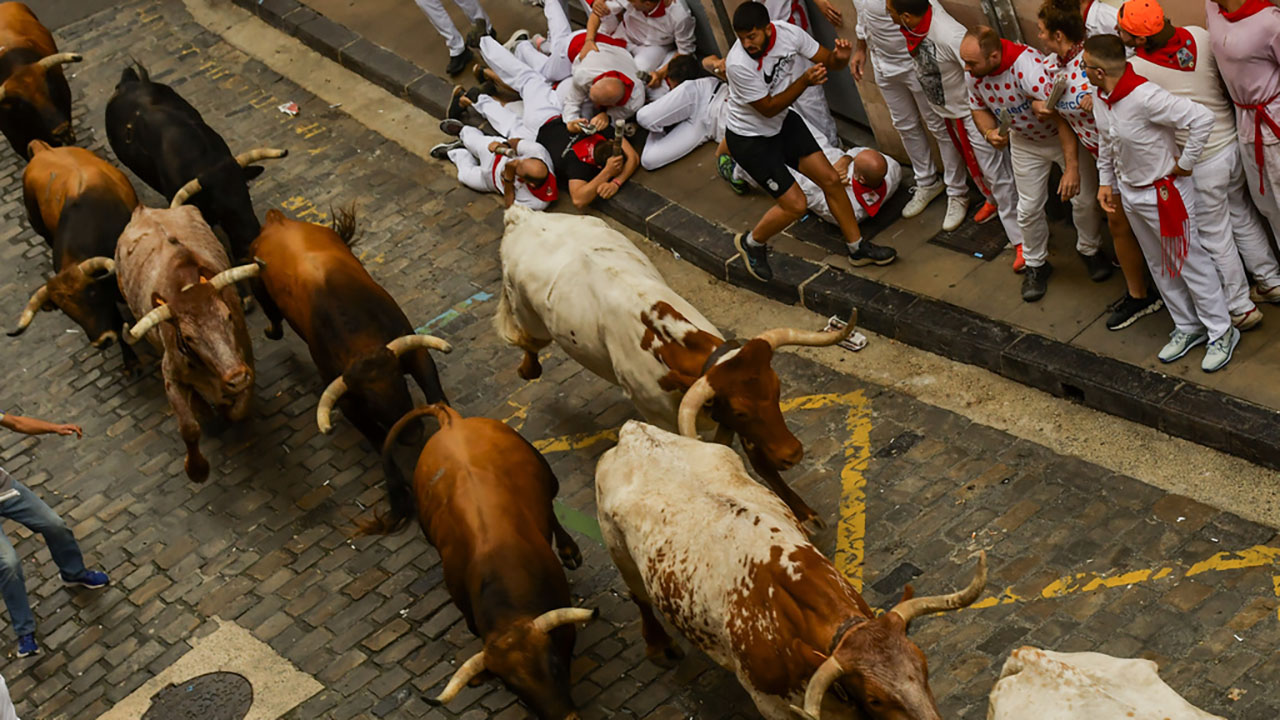 Fighting bulls run among revelers during the running of the bulls in Pamplona, Spain.