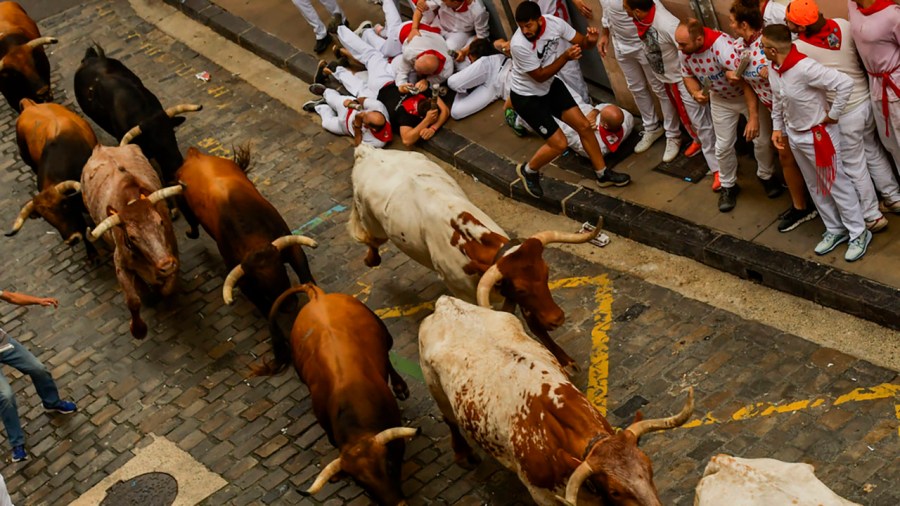 Fighting bulls run among revelers during the running of the bulls in Pamplona, Spain.